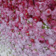 5d rose pink white gradient rolling up fabric curtain cloth flower wall wedding backdrop