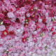 5d rose pink white gradient rolling up fabric curtain cloth flower wall wedding backdrop