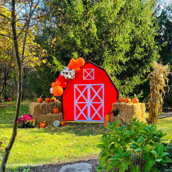 7x7ft barn backdrop stand | birthday party decoration prop