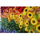 colorful flowers cloth flower wall fabric rollin up reed pampas grass curtain floral wall wedding backdrop party event props