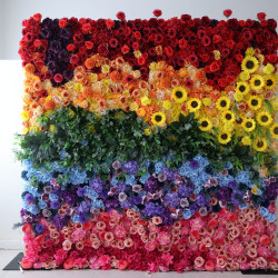 colorful flowers cloth flower wall fabric rollin up reed pampas grass curtain floral wall wedding backdrop party event props