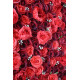 deep red and red roses cloth roll up flower wall fabric hanging curtain plant wall event party wedding backdrop