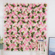 pink and champagne rose flowers wall, rose flowers backdrop