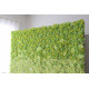 green and white roses and peonies cloth roll up flower wall fabric hanging curtain plant wall event party wedding backdrop