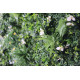 green mixed grass wall cloth roll up flower wall fabric hanging curtain plant wall event party wedding backdrop