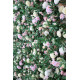 light yellow and pink roses and hydrangeas and green leaves cloth roll up flower wall fabric hanging curtain plant wall event party wedding backdrop