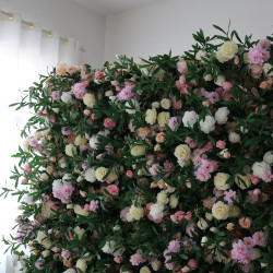 light yellow and pink roses and hydrangeas and green leaves cloth roll up flower wall fabric hanging curtain plant wall event party wedding backdrop