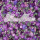 luxury light purple roses and dark purple hydrangeas 5d cloth flower wall wedding backdrop props fabric floral wall