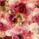 luxury rose red light pink 5d cloth flower wall wedding backdrop props fabric floral wall