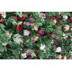 mixed color roses and green leaves cloth roll up flower wall fabric hanging curtain plant wall event party wedding backdrop