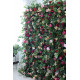 mixed color roses and green leaves cloth roll up flower wall fabric hanging curtain plant wall event party wedding backdrop