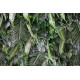 mixed grass wall cloth roll up flower wall fabric hanging curtain plant wall event party wedding backdrop