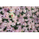 pink mixed flowers and green leaves cloth roll up flower wall fabric hanging curtain plant wall event party wedding  backdrop