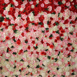 pink red light yellow roses and green leaves cloth roll up flower wall fabric hanging curtain plant wall event party wedding backdrop