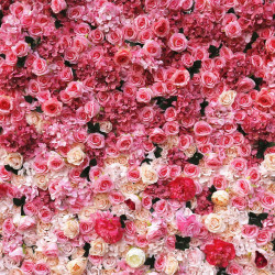 pink rose gradient rolling up fabric curtain artificial flower wall cloth wedding backdrop