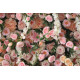 pink roses and green leaves cloth roll up flower wall fabric hanging curtain plant wall event party wedding backdrop