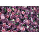 pink roses and peonies and green leaves cloth roll up flower wall fabric hanging curtain plant wall event party wedding backdrop