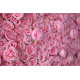 pink roses and peonies cloth roll up flower wall fabric hanging curtain plant wall event party wedding backdrop