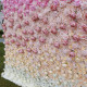 pink white roses 3d luxury gradient rolling up fabric curtain artificial flower wall cloth floral wall wedding backdrop