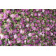 purple and pink peony flowers and green leaves cloth roll up flower wall fabric hanging curtain plant wall event party wedding backdrop