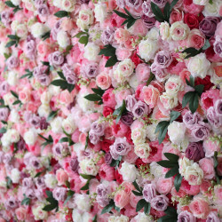 purple and pink roses and green leaves cloth roll up flower wall fabric hanging curtain plant wall event party wedding backdrop