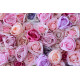 purple and rose roses and pink roses and peonies cloth roll up flower wall fabric hanging curtain plant wall event party wedding backdrop