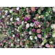 purple peonies and pink roses and green leaves cloth roll up flower wall fabric hanging curtain plant wall event party wedding backdrop