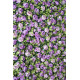 purple roses and green leaves cloth roll up flower wall fabric hanging curtain plant wall event party wedding backdrop