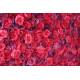 red and purple roses and peonies cloth roll up flower wall fabric hanging curtain plant wall event party wedding backdrop