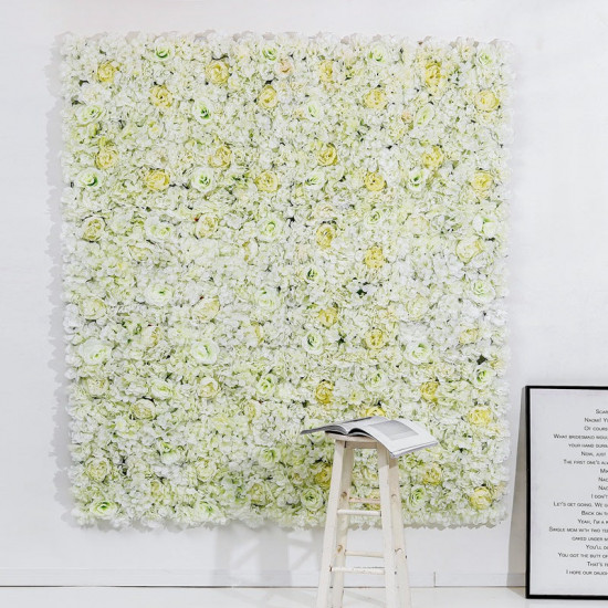 champagne rose flowers wall, rose flowers backdrop